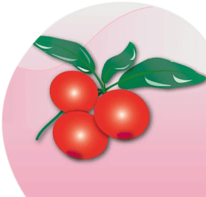 Cranberry Based Dietary Supplement - Plum Tomato (430x430)