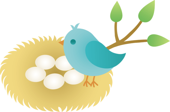 Bird Watching Over Her Eggs In The Nest - Bird In Nest Clip Art (550x364)