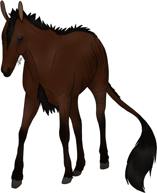 An Undersized, Crooked Legged Equid Named Seabiscuit, - Sorrel (800x800)
