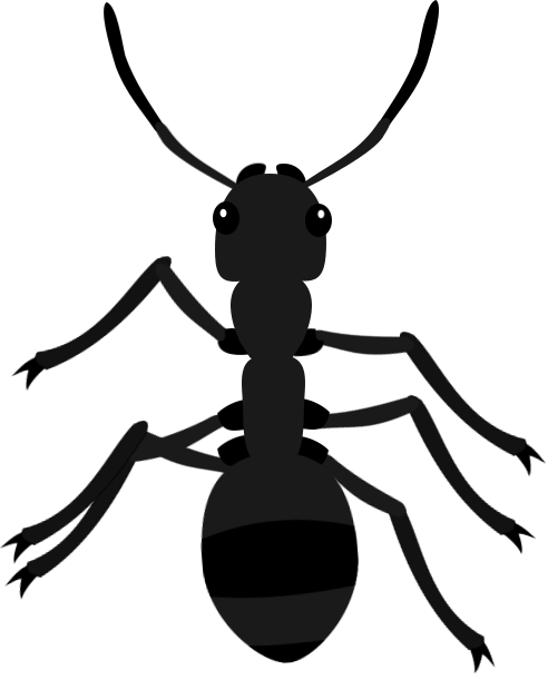 Preview - Net-winged Insects (492x611)