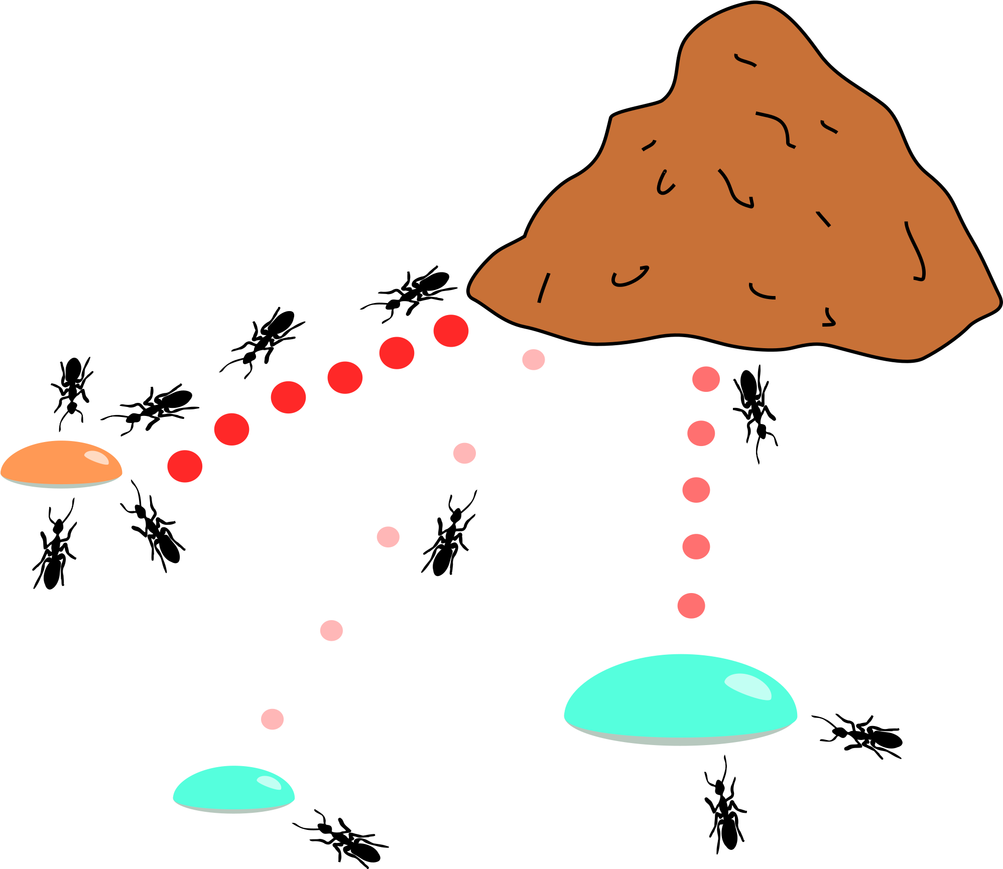 Open - Ants Colony Png (2000x1835)