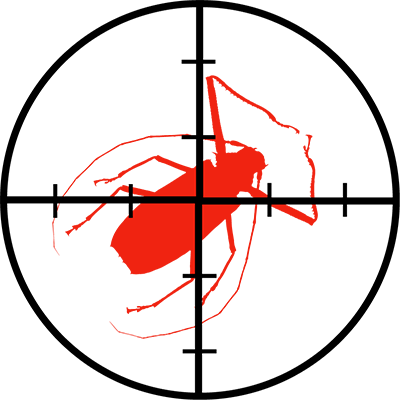 Target Bugs - Scope Sight (400x400)
