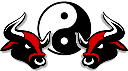 Is480 Team Wiki - Bloomingdale High School Logo (500x292)