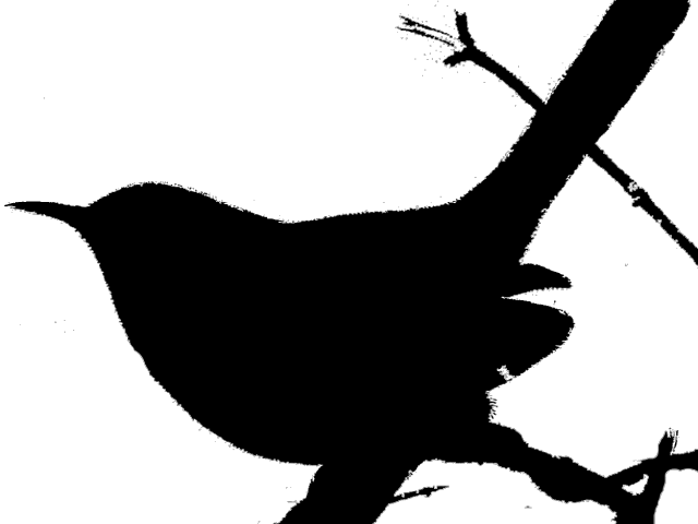 Wren Clipart Western - Illustration (640x480)