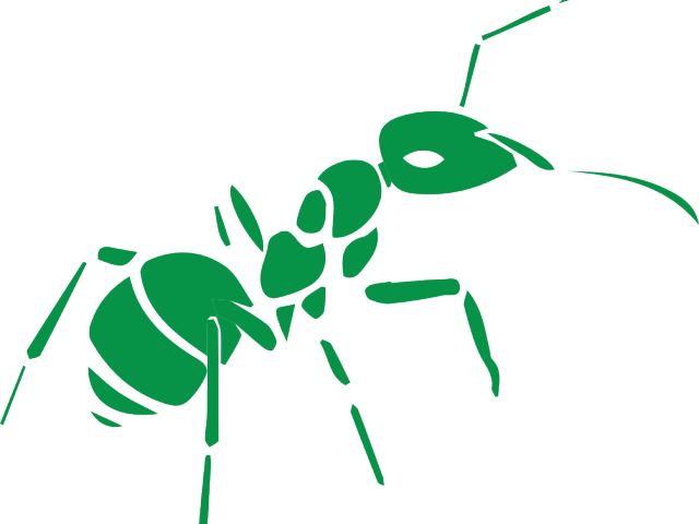 Ant Clipart Small Animal - Green Ant Png (640x480)
