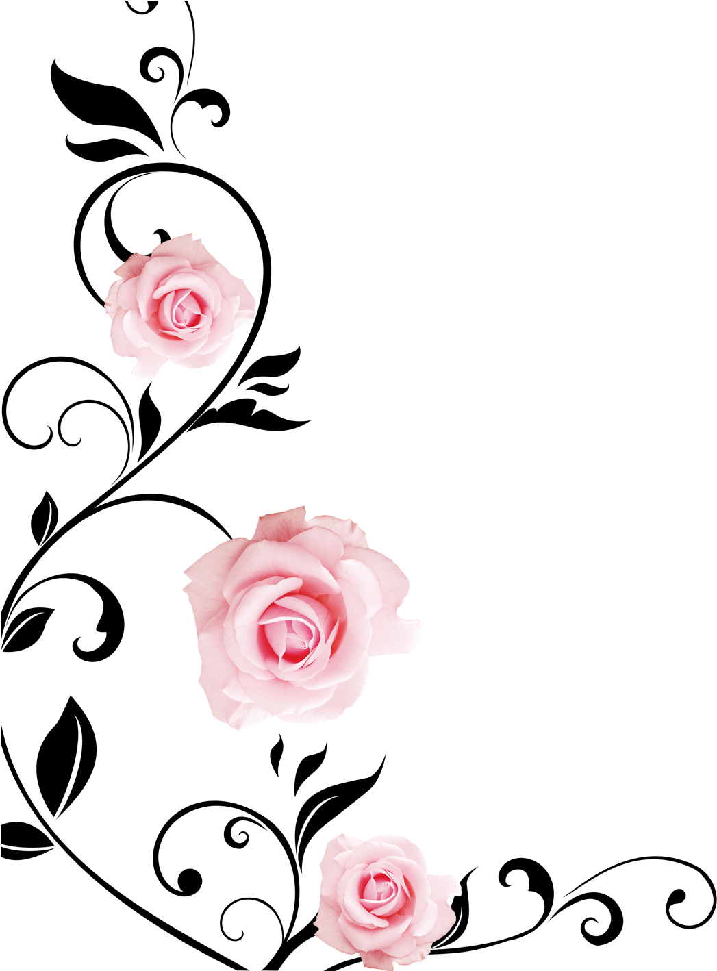 1417 X 1417 2 - Flower Drawing Images On Wall Png (1417x1417)