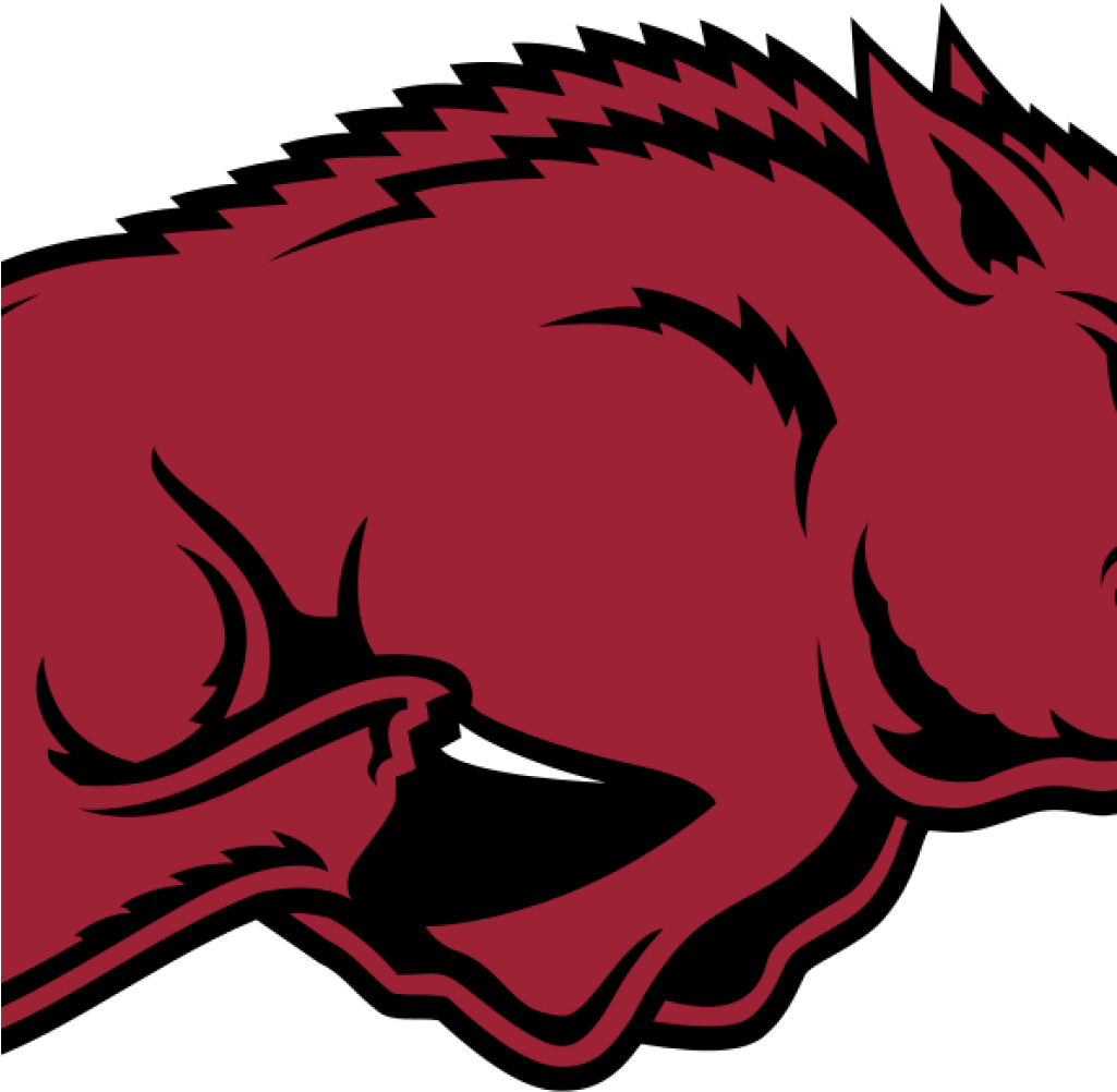 Razorback Country Arkansas Razorbacks Wikipedia Clipart - University Of Arkansas Razorbacks (1024x1024)