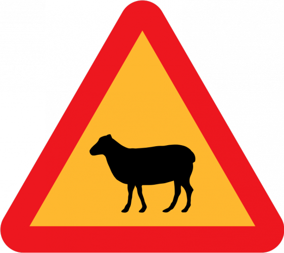 No Wonder So Many Tourists See Little Choice But To - Road Signs (562x500)