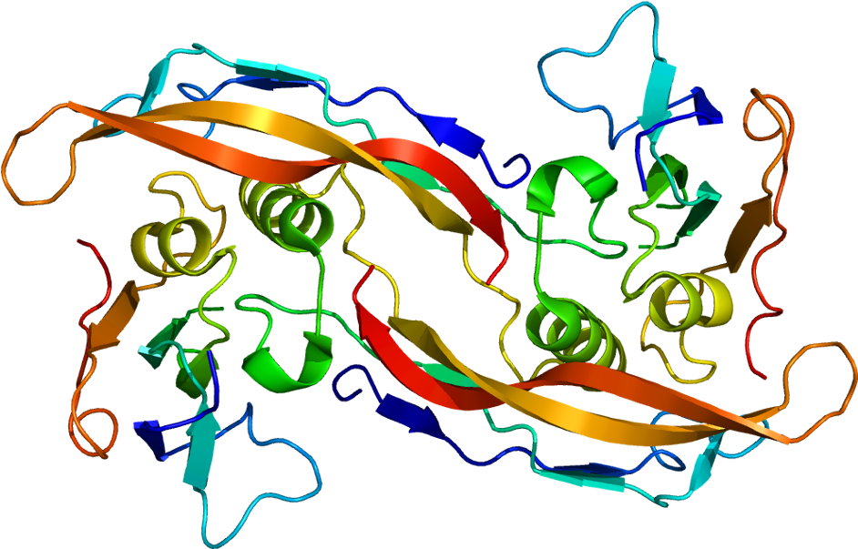 Bmpr1a - Anti Mullerian Hormone Crystal Structure (991x652)