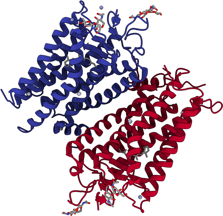 Chains Colored In Rainbow - Gif Of Protein (1000x1000)