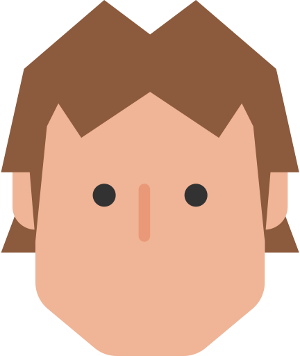 Han, Solo Icon, Lone Icon, Solo Character - Star Wars Han Solo Icon (432x512)