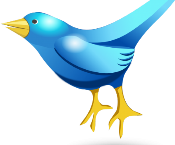 Songbird Clipart Twitter Bird - Vector Graphics (640x480)
