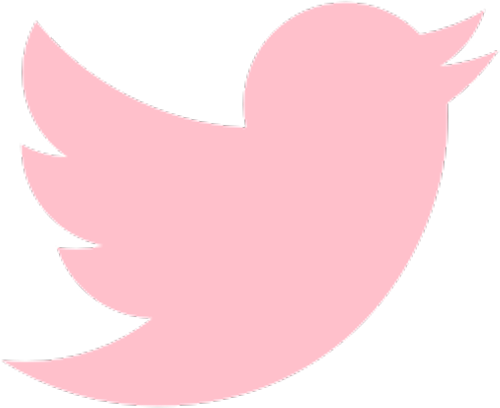 #twitter #logo #icon #bird #pink #freetoedit - Pink Twitter Logo Png (1024x1024)