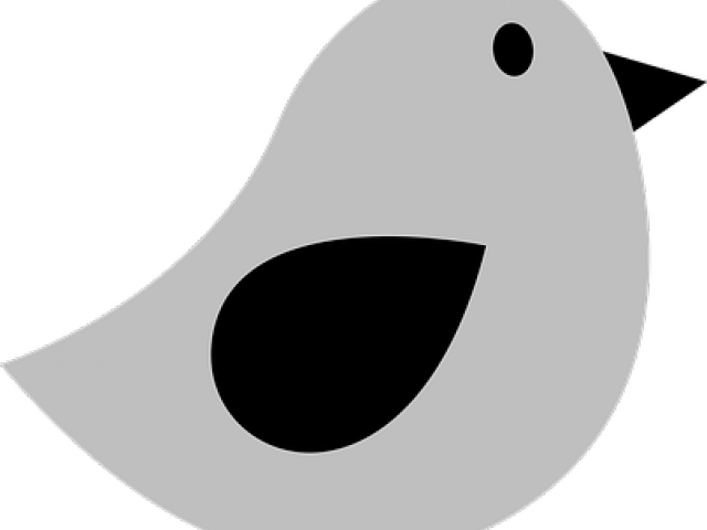 Grey Bird Clipart (640x480)