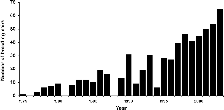Population Growth Of Breeding Northern Fulmars On Funk - Skyline (743x366)