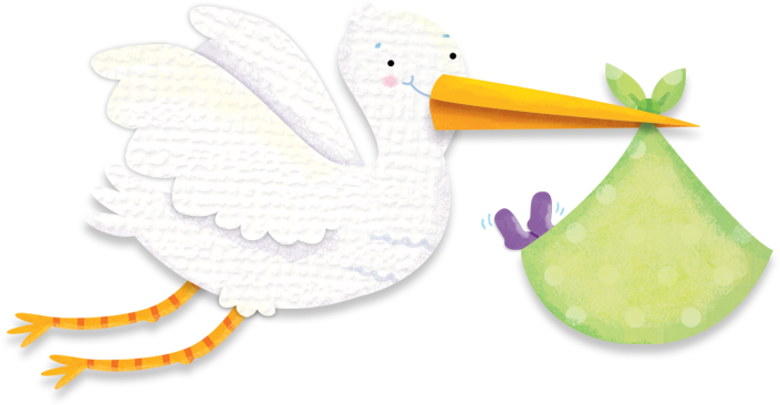 Welcome The New Baby Home With A Sturdy Board Book, - White Pelican (705x366)