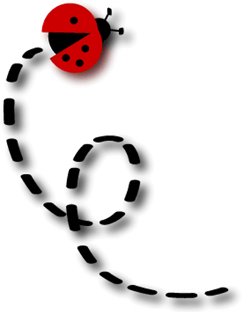 Lady Bug Flying Clip Art (346x446)