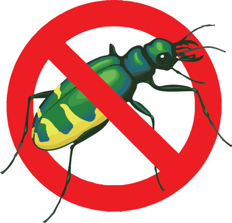 With Labor Day Marking The Unofficial End Of Summer, - With Labor Day Marking The Unofficial End Of Summer, (800x767)