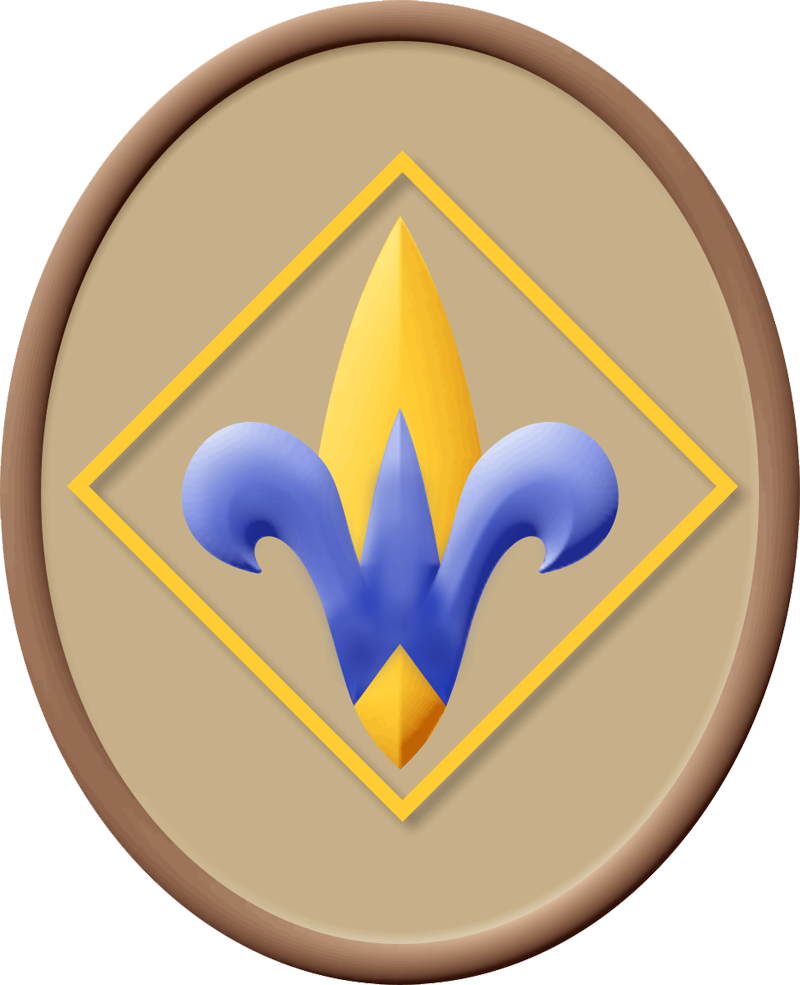 Whether You Are A Webelos Who Has Earned His Arrow - Cub Scouting (800x985)