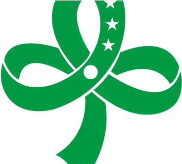 Bukidnon Hosts 33rd Girl Scouts Regional Camp - Girl Scouts Of The Philippines (660x330)