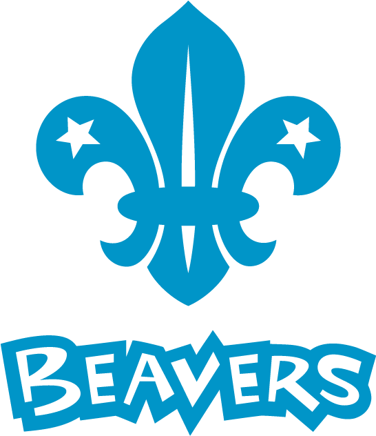 28 Collection Of Scout Clipart Uk - Beaver Scouts Uk (690x631)