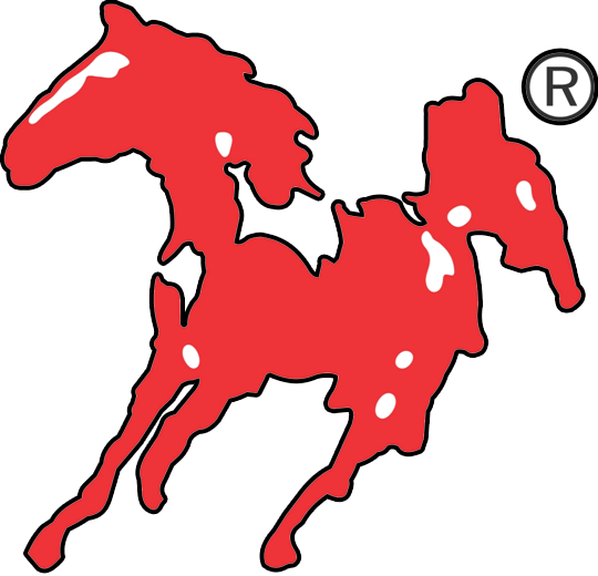 Fire Fighter Services - Fire Fighter Services (540x520)