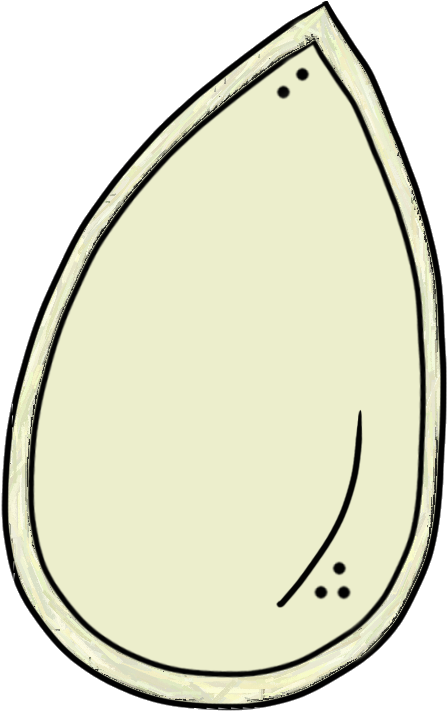 Seed - Clipart - Pumpkin Seeds To Color (512x809)