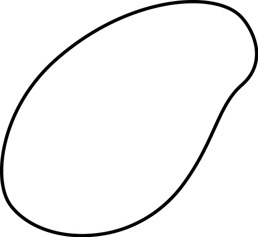 Black And White Plant Seed - Circle (528x485)