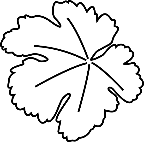 Pumpkin Leaf Clip Art - Pumpkin Leaf Clip Art (600x592)