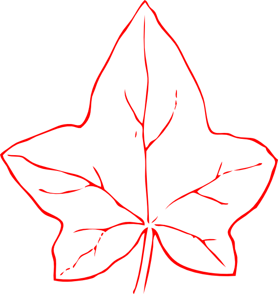 Ivy Leaf Clip Art - Outline Of Fall Leaf (564x595)