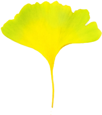 Car And Leaves Clipart - Car (600x600)