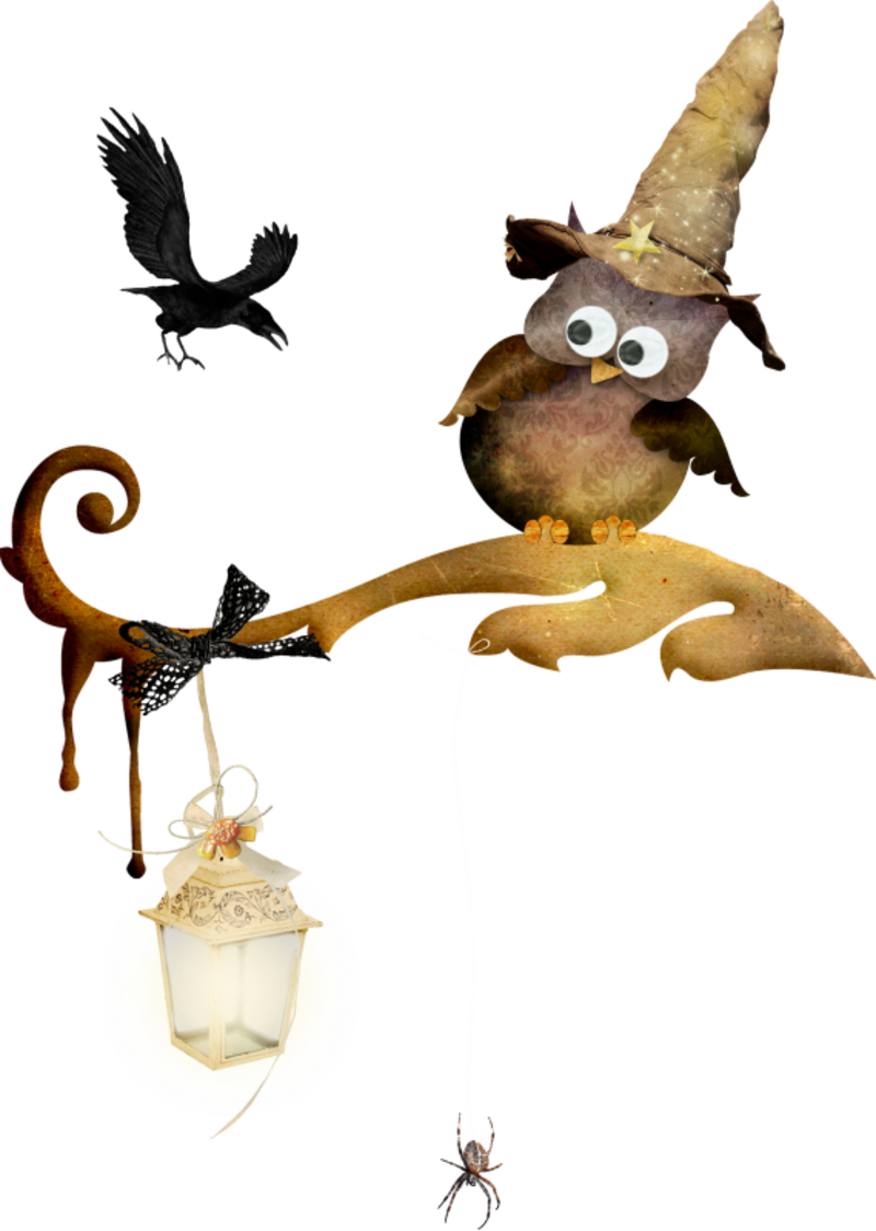 Halloween Gifs Fonds Ecran Images - Halloween Hibou (800x1124)