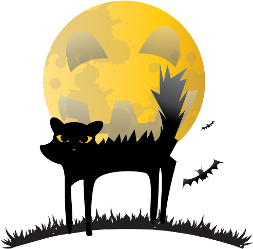 Black Cat, Cat, Halloween, Scared, Scary Icon Icon - Scared Black Catpng (512x512)