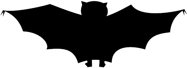 Bat, Halloween, Spooky, Dracula, Silhouette, Animal - Bat Silhouette Vector (640x320)