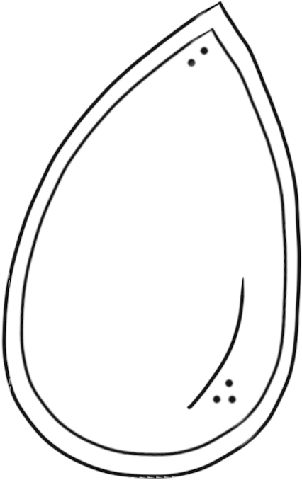 Seed Clip Art - Pumpkin Seed Clip Art (486x769)