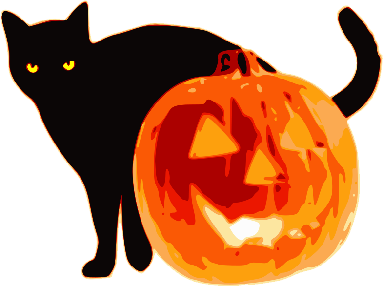 Halloween Has Long Been A Festival Of The Dying Year - Halloween Cat And Pumpkin Shirt! Mugs (800x600)