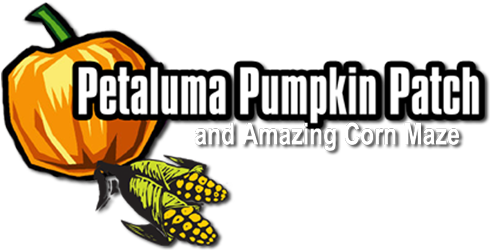 Petaluma Pumpkin Patch And Amazing Corn Maze 707 778 - Petaluma Pumpkin Patch 2017 (500x259)