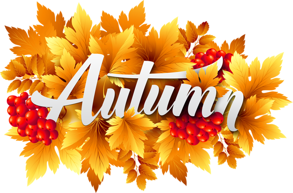 Autumn Decorative Image Png Clipart - Clip Art (850x560)