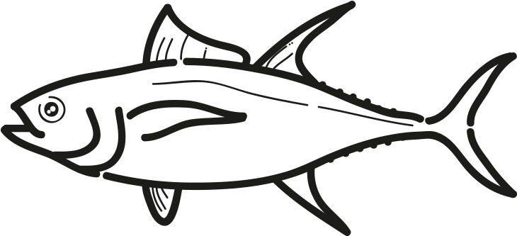 Atun Claro Rabil Thunnus Albacares - Atlantic Bluefin Tuna (796x500)