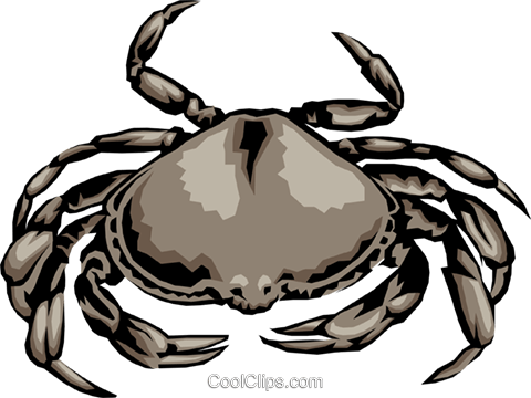 Crab Royalty Free Vector Clip Art Illustration - Freshwater Crab (480x360)