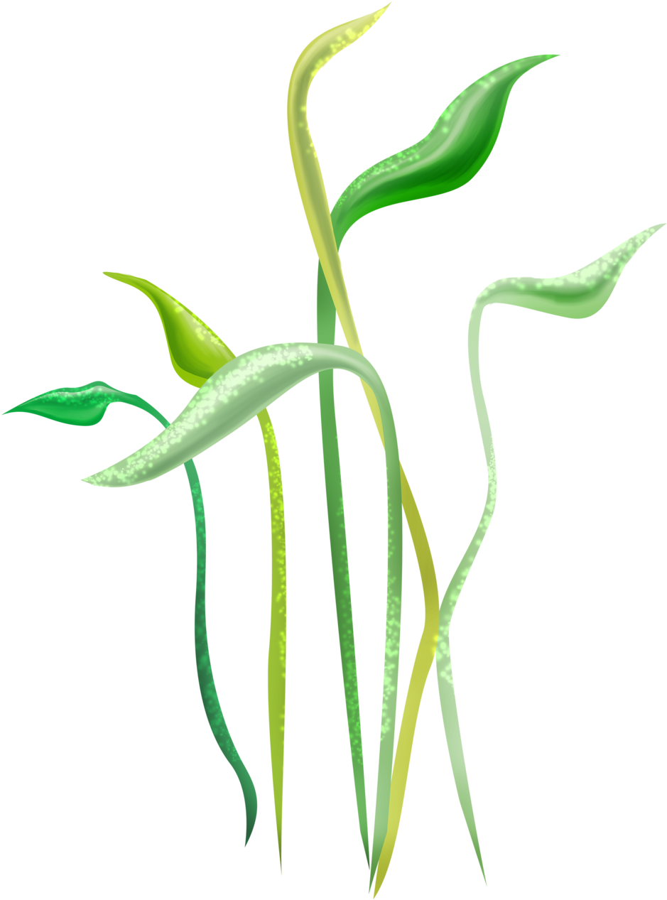 Яндекс - Фотки - Drawn Plant Png (953x1280)