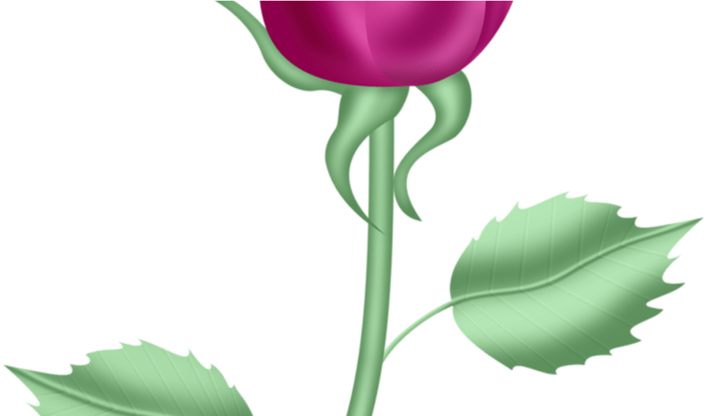 Chb **spring ~*clip Art Spring Time *~ Pinterest - Rosa Com Caule Desenho Png (1067x600)