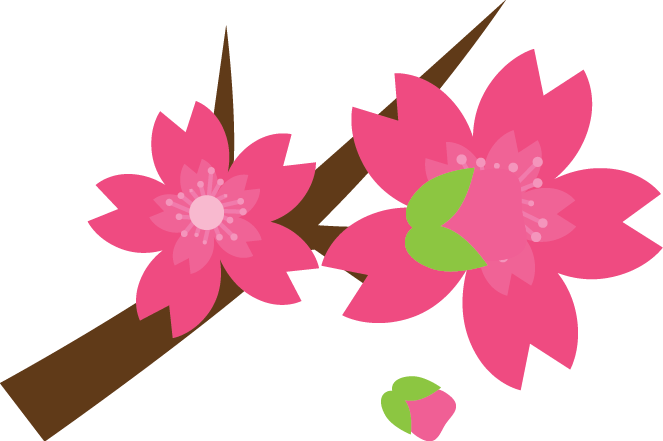 Pink Flower - Water Lily (663x441)