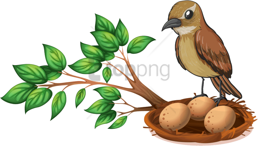 Free Png Download Bird Nest On Tree Png Images Background - Sparrow With Nest Clipart (850x483)