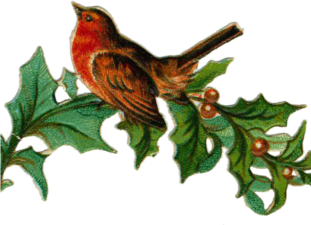 Birds Nest Clipart Christmas - Victorian Christmas Clipart (640x480)