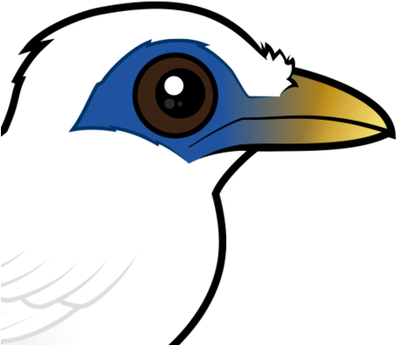 440 X 440 1 - Bali Myna (440x440)