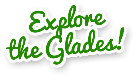 Our Experienced Florida Everglades Guides Are Ready - Everglades Png (458x263)