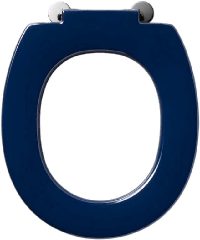 Blue Toilet Seat - Armitage Shanks Disabled Toilet Seat (800x800)