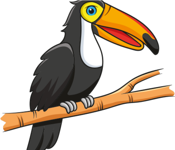 Toucan Clipart Real - Animais Da Amazônia Desenho (640x480)