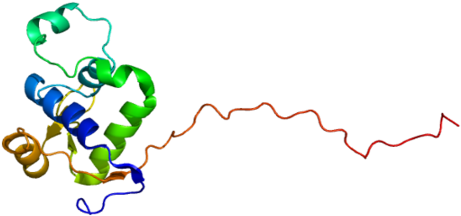 Protein Wrn Pdb 2axl - Gen Wrn (500x255)